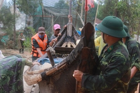 Đưa tàu thuyền vào nơi an toàn để tránh bão