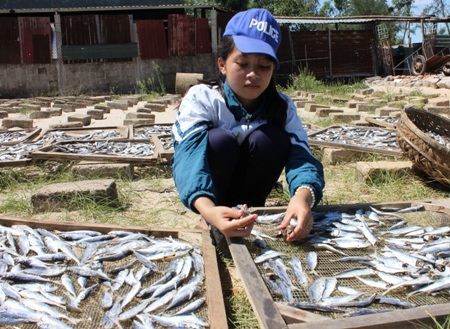 Tranh thủ thời gian nghỉ hè, Thảo đi nhặt cá thuê kiếm tiền mua sách, vở bước vào năm học mới