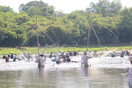 Mỗi khi nhận biết có cá chạy qua là dòng người cùng quay mặt và đi theo