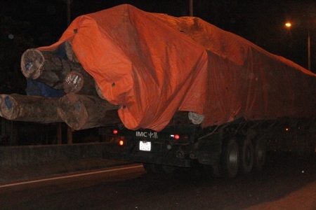 Phần gỗ dư ra phía sau đuôi xe dài gần 2m