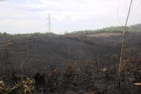 Kiểm tra, vận hành an toàn đường dây 500 KV sau sự cố cháy rừng