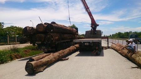 San tải đối với xe chở gỗ