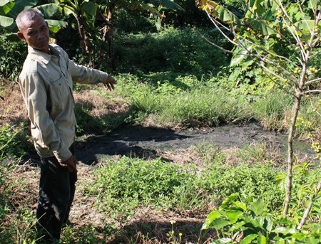 Dòng nước thải từ trại chăn nuôi chảy trực tiếp ra khu dân cư