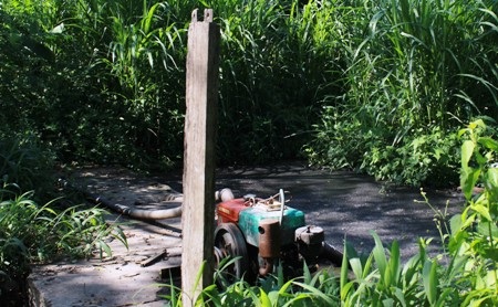 Hầm chứa chất thải không đảm bảo tiêu chuẩn...