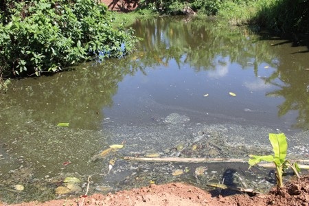 Hầm chứa nước thải cách trại không xa