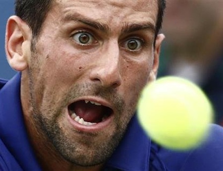 Ngược dòng hạ Ferrer, Djokovic vào chung kết - 1 Djokovic sẽ có trận chung kết với Murray