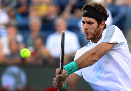 Murray bị loại, Del Potro vào bán kết với Djokovic - 2 Del Potro đã có chiến thắng đầu trong 5 lần gặp Murray trên mặt sân cứng