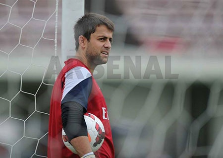 Thủ thành Fabianski