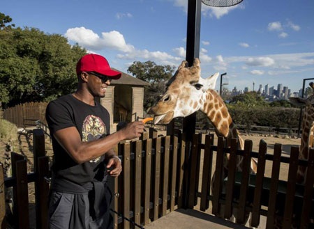 Hậu vệ trái của MU cho hươu cao cổ ăn