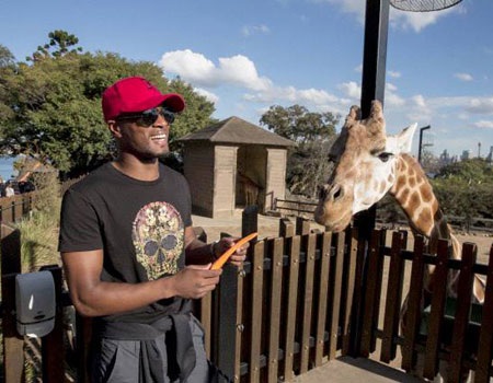 Evra có vẻ rất yêu động vật