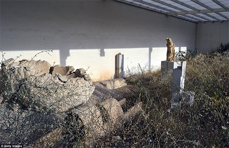 Cận cảnh sân bóng chuyền bãi biển đã bị bỏ hoang