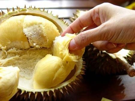 Đàn ông ăn sầu riêng như uống viagra khi "lâm trận" - 1 Đàn ông ăn sầu riêng như uống viagra khi lâm trận