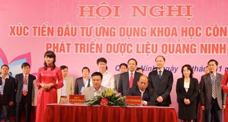 Cây ba kích, một tiềm năng của dược liệu
Việt Nam