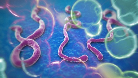 5 thách thức đối với y tế thế giới năm 2015 - 2 2. Nỗi hoảng sợ Ebola đang qua đi nhưng không được để nó diễn
ra lần nữa.