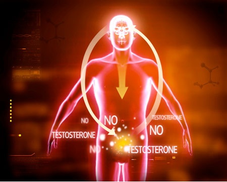 Những cách đơn giản giúp tăng testosterone ở nam giới - 1 Những cách đơn giản giúp tăng testosterone ở nam giới