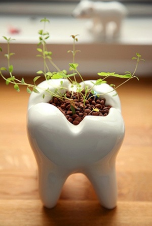 Nhổ 1 răng khuyến mại
thêm 2