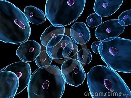 Trường sinh bất lão - giấc mơ không xa? - 1 Trường sinh bất lão - giấc mơ không xa?