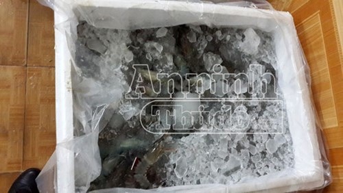 Phát hiện 2 cơ sở kinh doanh thủy sản tiêm bột lạ vào tôm sú đông lạnh - 2 Tôm sú đông lạnh