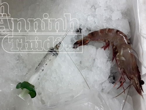 Phát hiện 2 cơ sở kinh doanh thủy sản tiêm bột lạ vào tôm sú đông lạnh - 4 Sau khi tiêm bột Agar, tôm đông lạnh nhìn có màu sắc bắt mắt