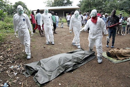 Vì sao xảy ra đại dịch Ebola? - 3 Các nhân viên y tế đang chuẩn bị
mang xác 1 nạn nhân Ebola đi chôn ở Monrovia