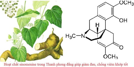 Những hoạt chất tự nhiên tốt cho người bệnh khớp - 1 Những hoạt chất tự nhiên tốt cho người bệnh khớp