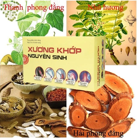 Những hoạt chất tự nhiên tốt cho người bệnh khớp - 2 Xương Khớp Nguyên Sinh