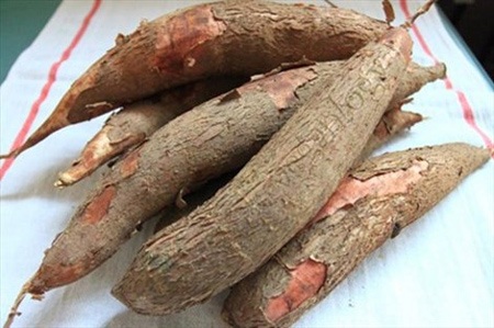 Một trẻ nhỏ nguy kịch vì ngộ độc sắn - 1 Không nên ăn sắn khi đói bụng, chưa bóc hết vỏ và chưa ngâm
nước, luộc kỹ. Hình minh họa