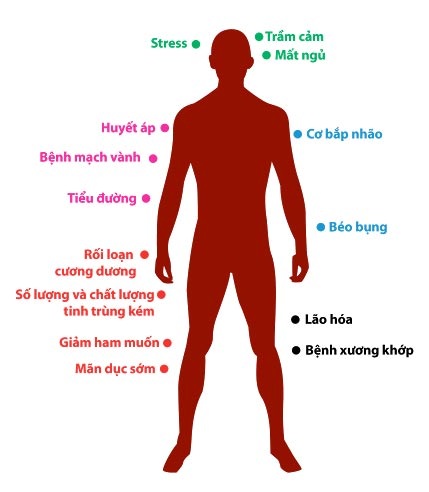 Những nguy cơ tiềm ẩn khi nam giới suy giảm nội tiết tố testosterone - 1 Những tác hại gây ra bởi
suy giảm nội tiết tố nam testosterone ở nam giới sau tuổi 40