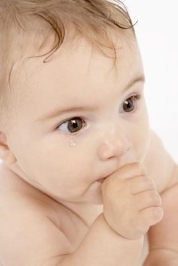 Giải mã thói quen mút tay ở trẻ - 1 Tật ngậm mút tay
ở trẻ rất khó thay đổi