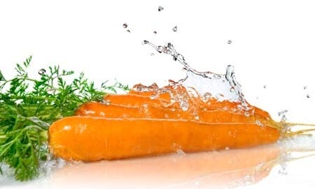 Những điều thú vị bạn ít biết về cà rốt - 2 Cà rốt có hạt