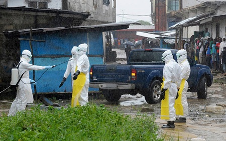 Hai vắc xin Ebola thử nghiệm đều an toàn - 1 Dịch Ebola hiện nay ở Tây Phi có sự góp mặt của chủng Zaire.