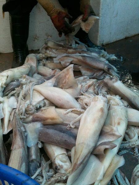 Lén lút trong chợ đầu
mối