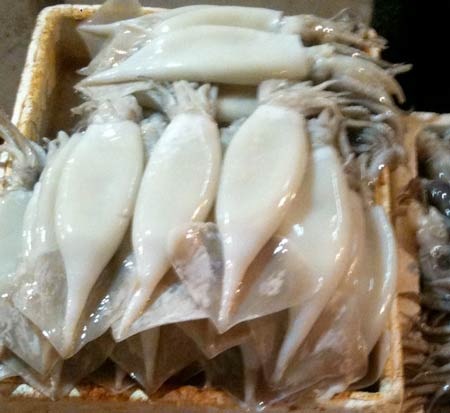 Sau khi ngâm với ôxy già. mực chuyển sang tươi và trắng.