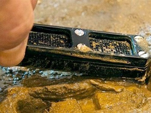 Thuốc kháng sinh từ trong bùn đất - 1 Phát hiện từ trong
bùn đất
