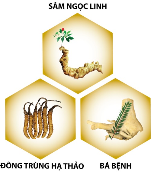 Những “thủ phạm” gây rối loạn cương dương sớm - 2 Rối loạn cương dương ngày càng nhiều ở quý ông trẻ tuổi