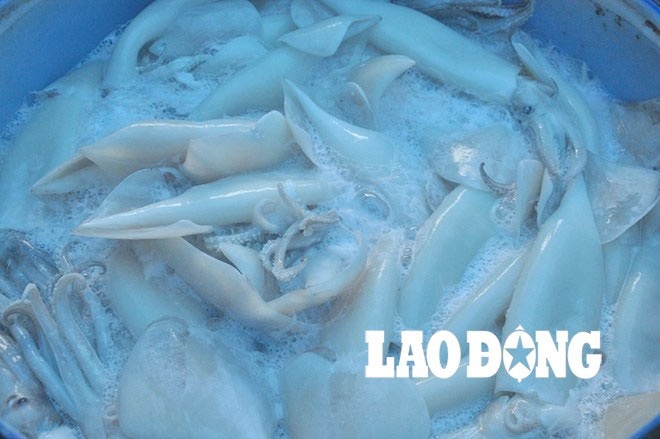 Kỳ 2: Truy tìm nguồn gốc mực giá bèo trong đường dây tẩy trắng, tiêu thụ mực bẩn - 2 Mực được ngâm ôxy già
rồi đóng thùng vận chuyển đi các tỉnh tiêu thụ.