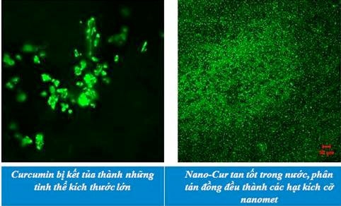 Nghệ nano hỗ trợ điều trị ung bướu? - 1 Nghệ nano hỗ trợ điều trị ung bướu?