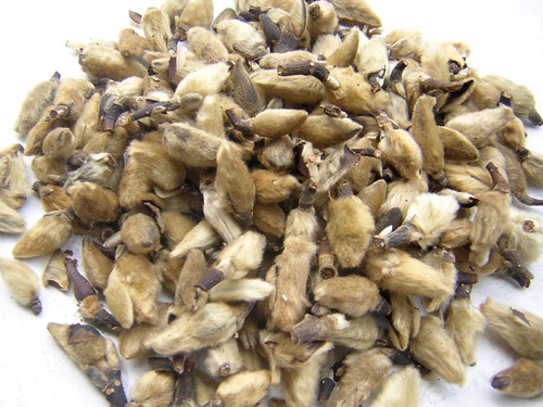 Cảnh giác với viêm mũi xoang tiến triển lúc giao mùa - 1 Sử dụng thảo dược và phương pháp “trong uống ngoài
thoa” để trị viêm xoang hiệu quả