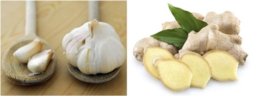 Gừng và tỏi