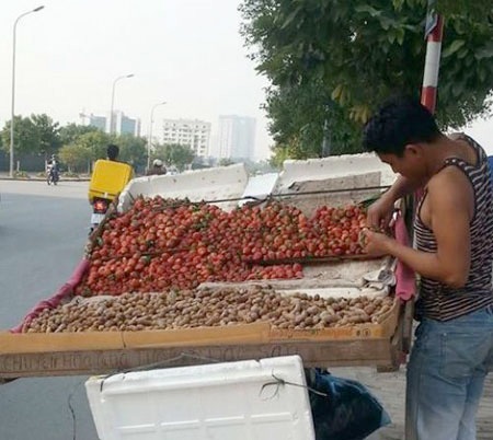Nhuộm màu, tẩy tem: Hàng Trung Quốc thành đặc sản Đà Lạt - 3 Dâu Đà Lạt được bày bán ở đường phố Hà Nội.