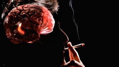 Hút thuốc lá làm mòn vỏ não - 1 Hút thuốc lá làm mòn vỏ não