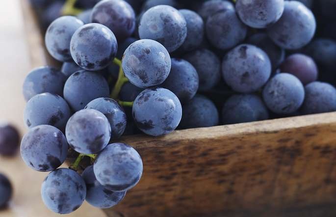 15 thực phẩm giúp giảm đau - 8 Nho đỏ