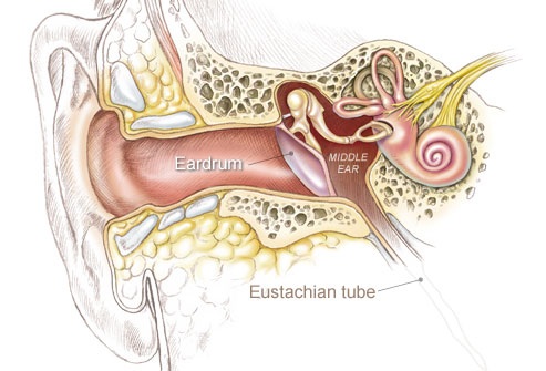 21 bệnh trẻ em mà các bậc cha mẹ nên biết - 2 Nhiễm trùng tai
