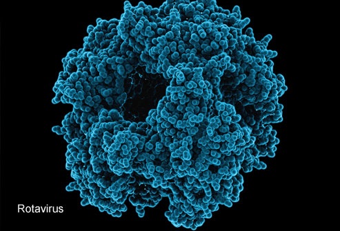 21 bệnh trẻ em mà các bậc cha mẹ nên biết - 8 Rotavirus