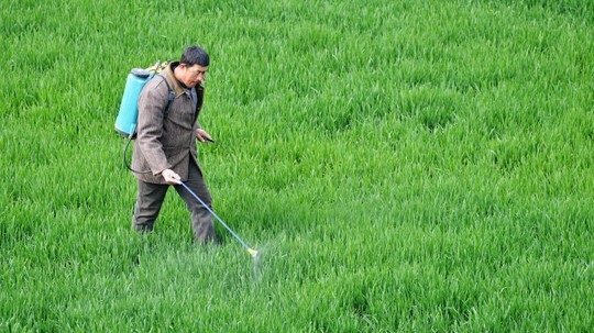 Nông dân ở tỉnh An Huy, Trung Quốc, phun thuốc bảo vệ cây trồng
Ảnh: Franceinfotv
