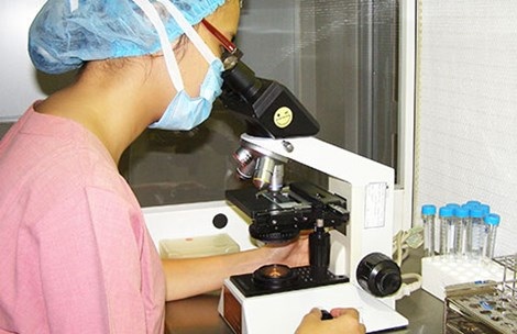 Nhân viên y tế BV Từ Dũ đang kiểm tra kết quả thụ tinh trong
ống nghiệm. Ảnh: TRẦN NGỌC