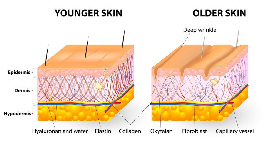 Bí quyết trẻ đẹp và ngăn ngừa nám của phụ nữ Nhật - 2 Bí quyết trẻ đẹp và ngăn ngừa nám của phụ nữ Nhật
