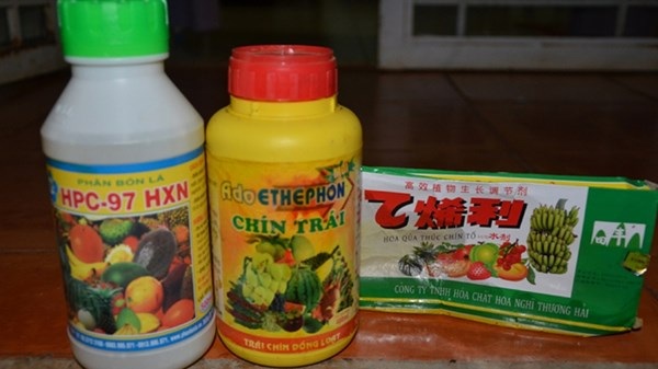 Đổ hóa chất ép mít chín siêu tốc - 2 Các loại hóa chất dùng ép chín trái cây.