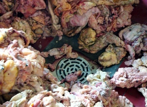 Thậm chí đổ ngay cả trên miệng cống thoát nước