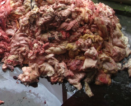 Mỡ, bì lợn được vứt
bừa bãi giữa sân nền gạch. 